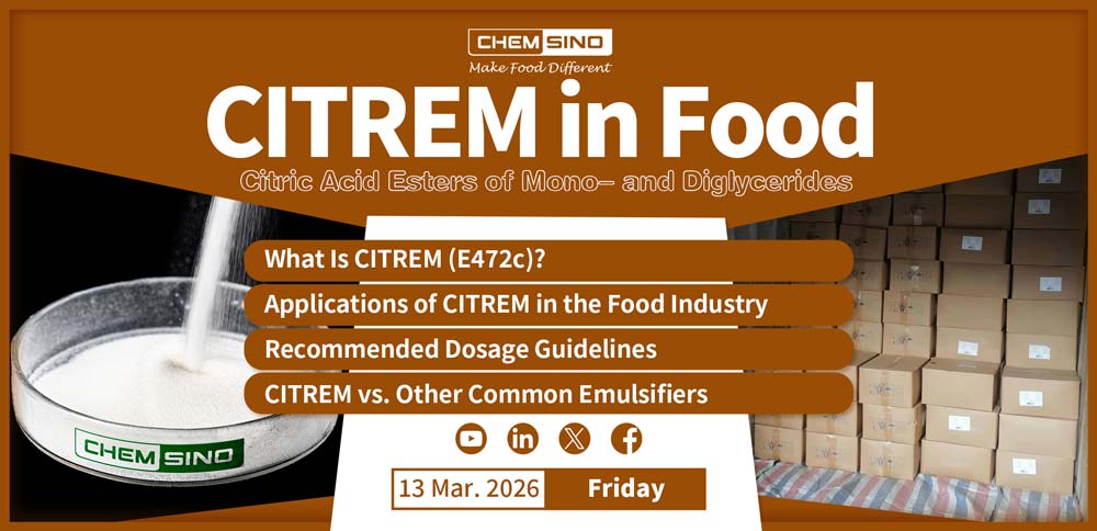 Citric Acid Esters of Mono- and Diglycerides CITREM in Food